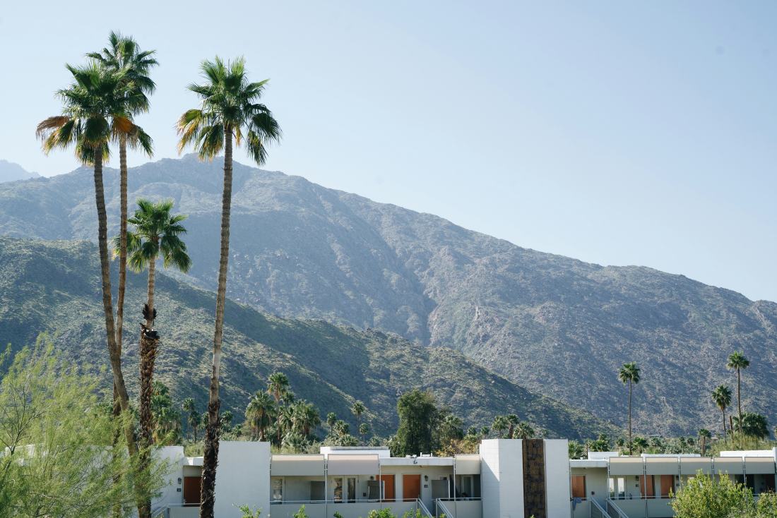 Palm trees and a mid-century building against the Palm Springs mountains